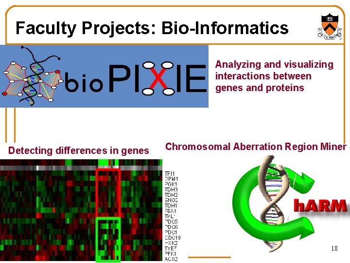 Faculty Projects: Bio-Informatics Analyzing and visualizing interactions between genes and proteins Detecting differences in