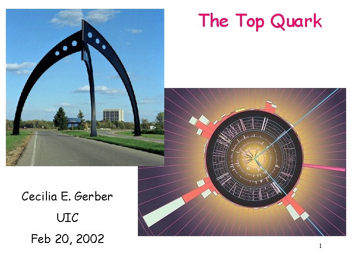 The Top Quark Cecilia E. Gerber UIC Feb 20, 2002 1 