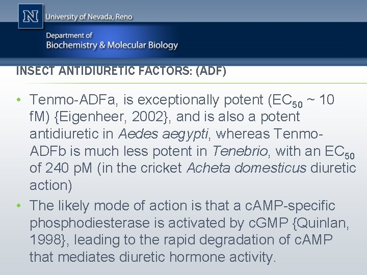 INSECT ANTIDIURETIC FACTORS: (ADF) • Tenmo-ADFa, is exceptionally potent (EC 50 ~ 10 f.