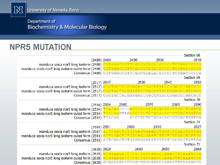 NPR 5 MUTATION 