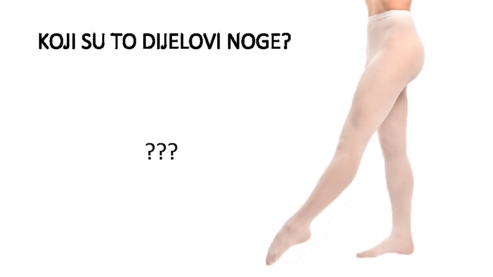 KOJI SU TO DIJELOVI NOGE? ? ? ? 