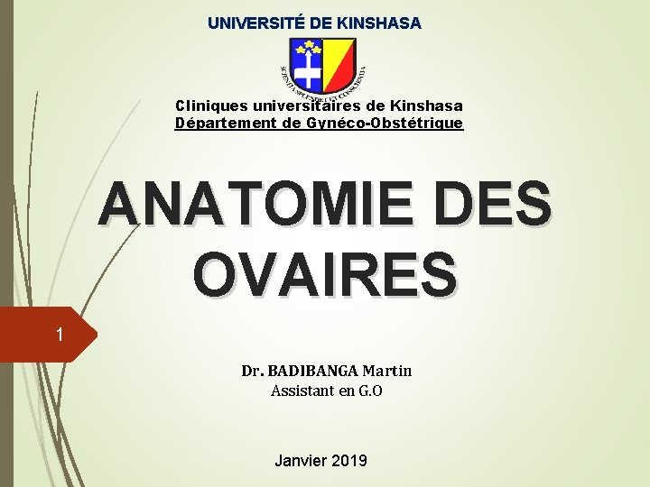 UNIVERSITÉ DE KINSHASA Cliniques universitaires de Kinshasa Département de Gynéco-Obstétrique ANATOMIE DES OVAIRES 1