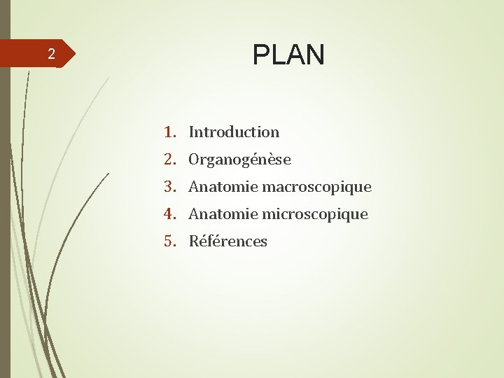 2 PLAN 1. Introduction 2. Organogénèse 3. Anatomie macroscopique 4. Anatomie microscopique 5. Références