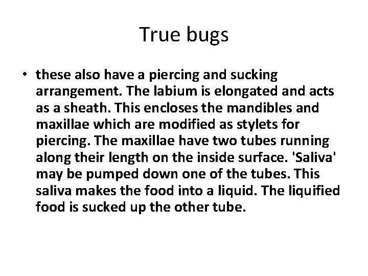 True bugs • these also have a piercing and sucking arrangement. The labium is