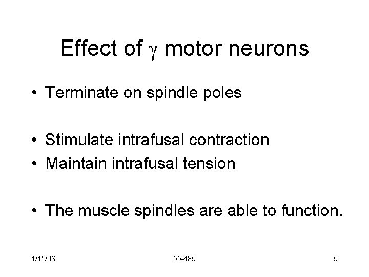 Effect of motor neurons • Terminate on spindle poles • Stimulate intrafusal contraction •