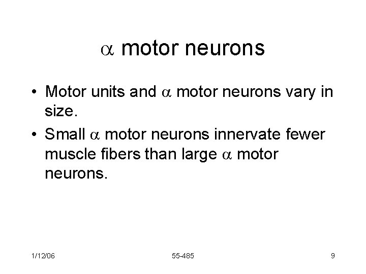  motor neurons • Motor units and motor neurons vary in size. • Small