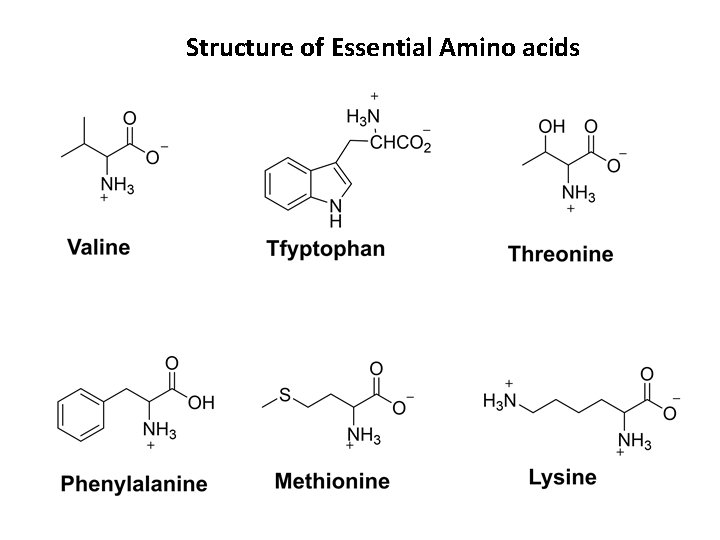 Structure of Essential Amino acids 