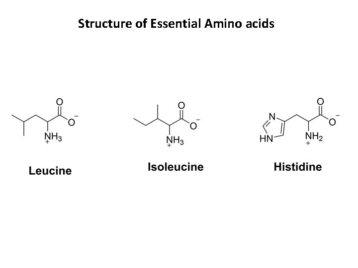 Structure of Essential Amino acids 
