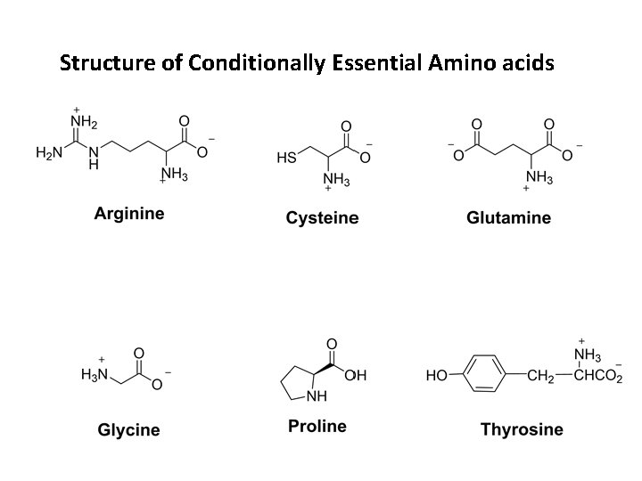 Structure of Conditionally Essential Amino acids 