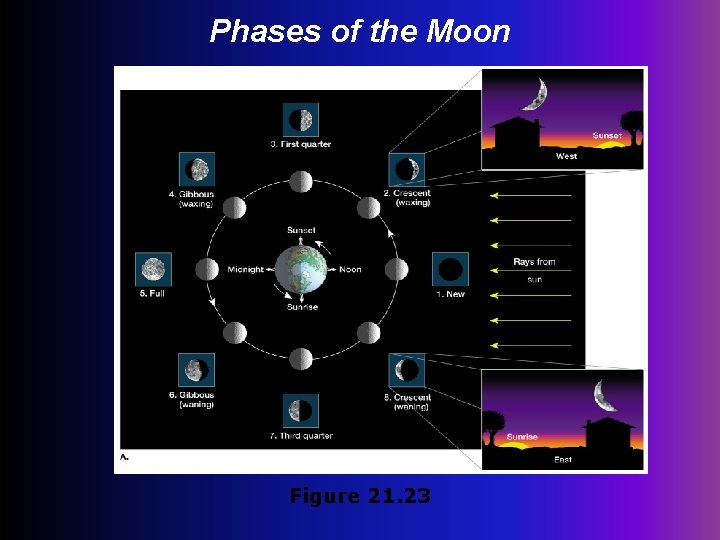 Phases of the Moon Figure 21. 23 