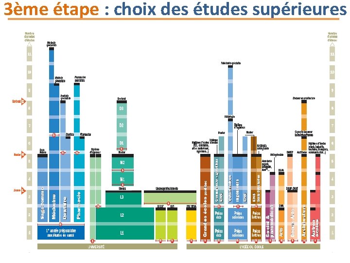 3ème étape : choix des études supérieures 