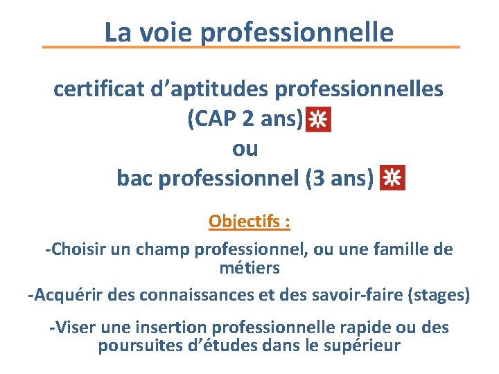 La voie professionnelle certificat d’aptitudes professionnelles (CAP 2 ans) ou bac professionnel (3 ans)