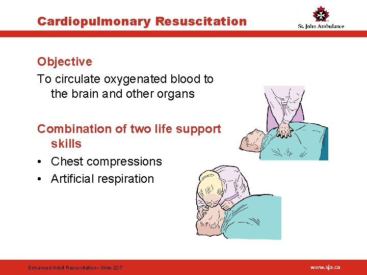 Cardiopulmonary Resuscitation Objective To circulate oxygenated blood to the brain and other organs Combination