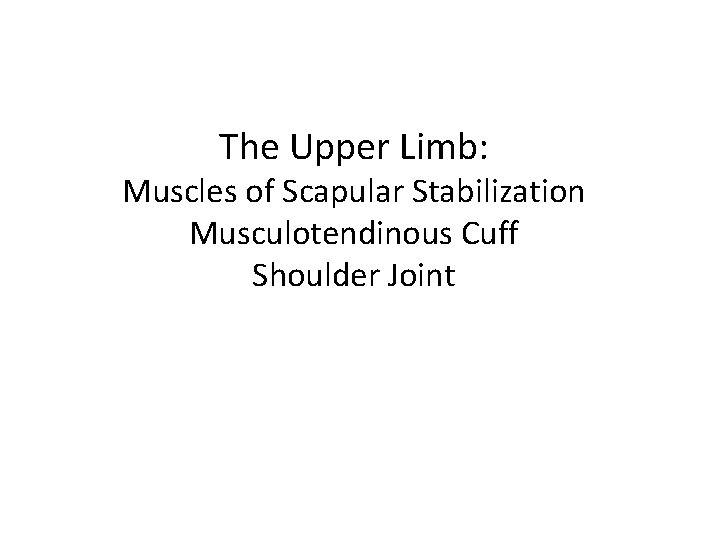 The Upper Limb: Muscles of Scapular Stabilization Musculotendinous Cuff Shoulder Joint 