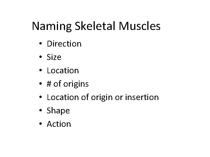 Naming Skeletal Muscles • • Direction Size Location # of origins Location of origin