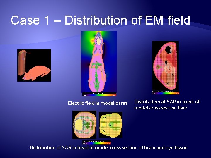 Case 1 – Distribution of EM field Electric field in model of rat Distribution