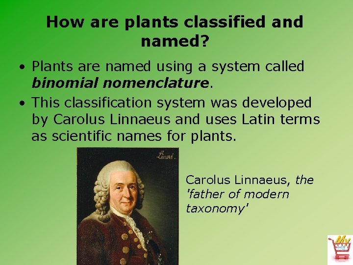 How are plants classified and named? • Plants are named using a system called