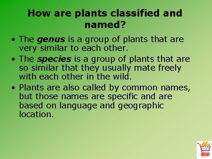 How are plants classified and named? • The genus is a group of plants
