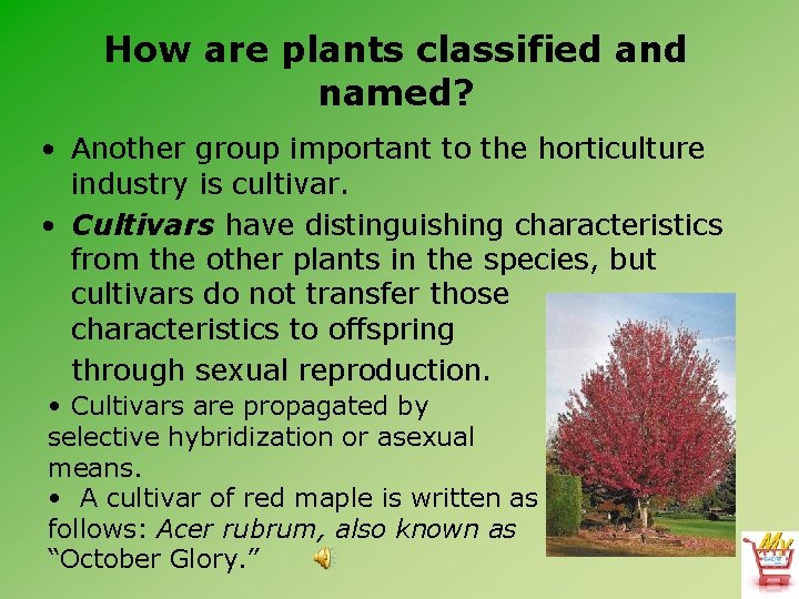 How are plants classified and named? • Another group important to the horticulture industry