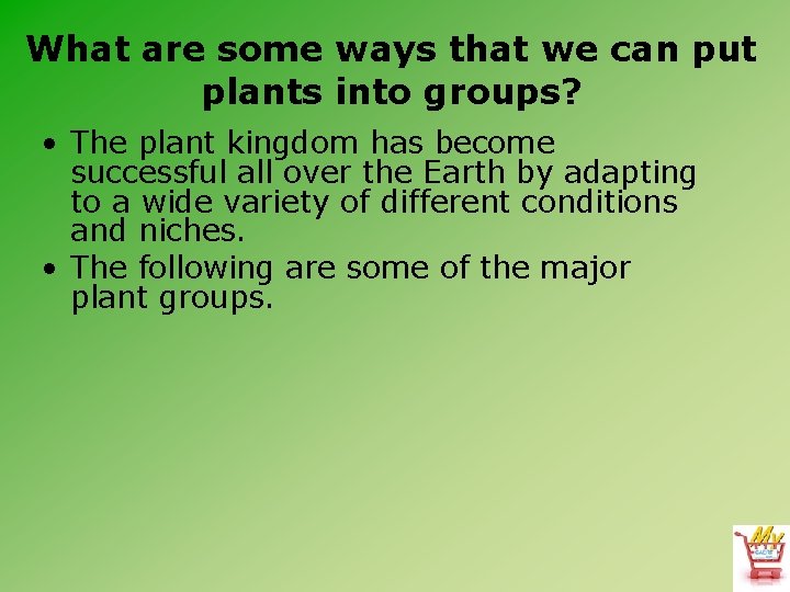 What are some ways that we can put plants into groups? • The plant