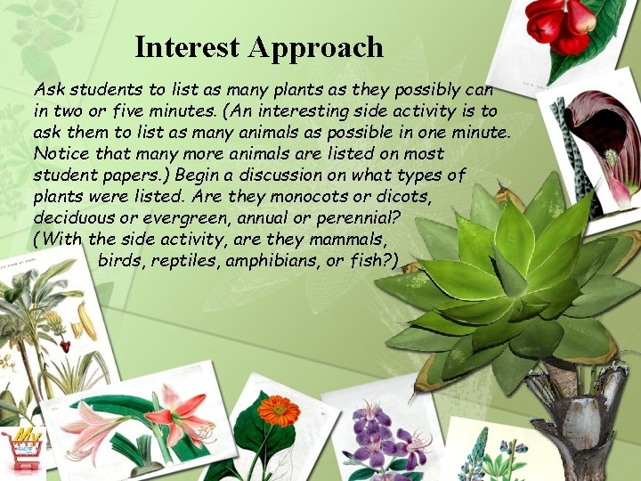 Interest Approach Ask students to list as many plants as they possibly can in