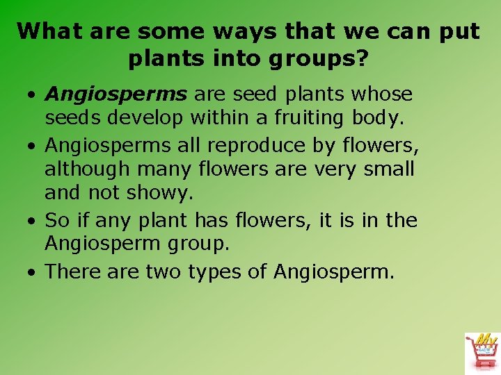 What are some ways that we can put plants into groups? • Angiosperms are