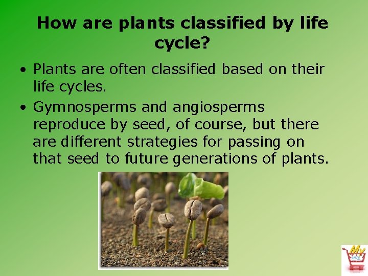 How are plants classified by life cycle? • Plants are often classified based on