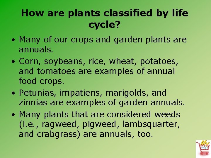 How are plants classified by life cycle? • Many of our crops and garden