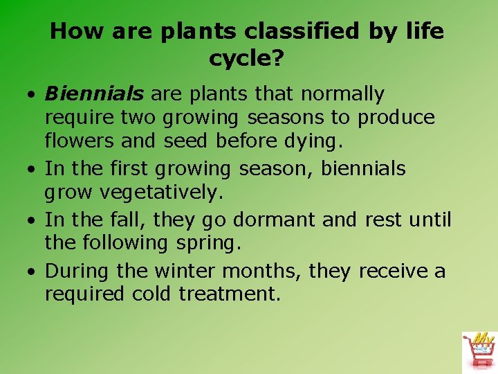 How are plants classified by life cycle? • Biennials are plants that normally require