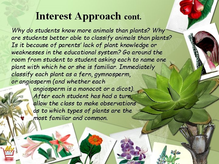 Interest Approach cont. Why do students know more animals than plants? Why are students