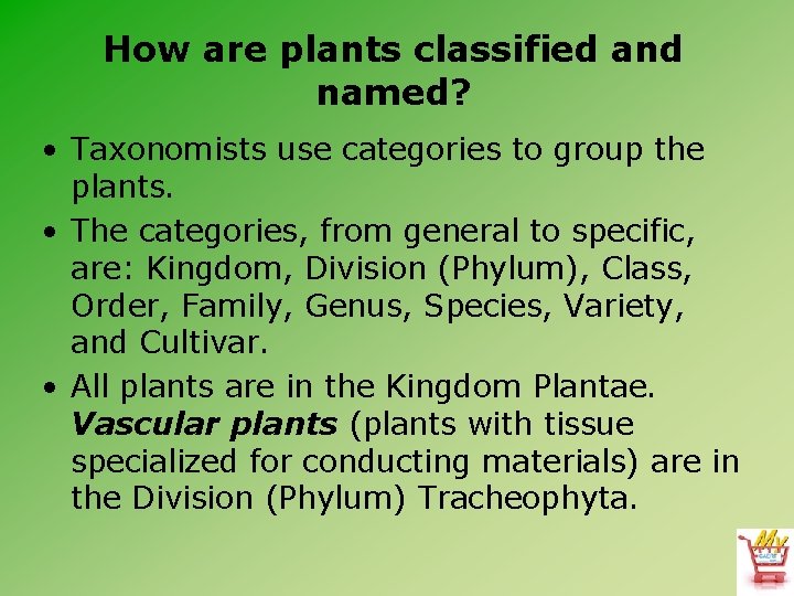 How are plants classified and named? • Taxonomists use categories to group the plants.