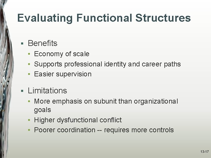 Evaluating Functional Structures § Benefits • Economy of scale • Supports professional identity and