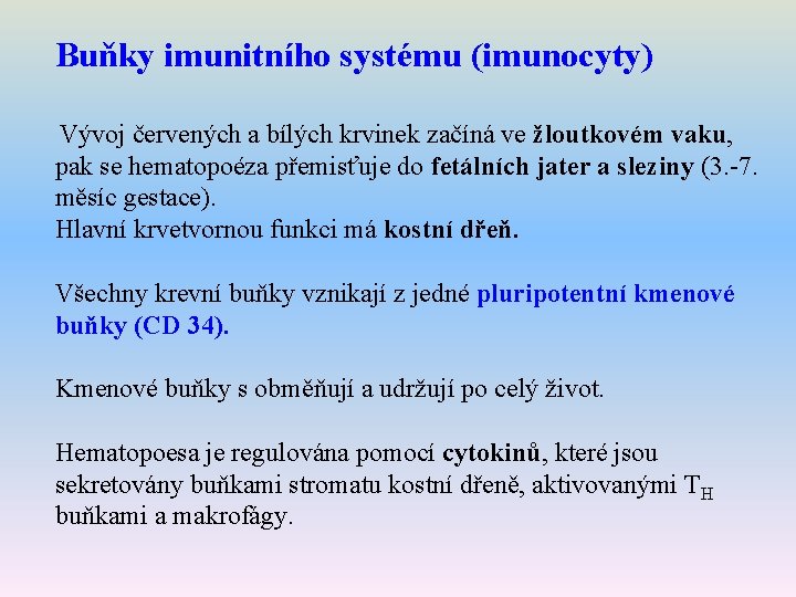 Buňky imunitního systému (imunocyty) Vývoj červených a bílých krvinek začíná ve žloutkovém vaku, pak