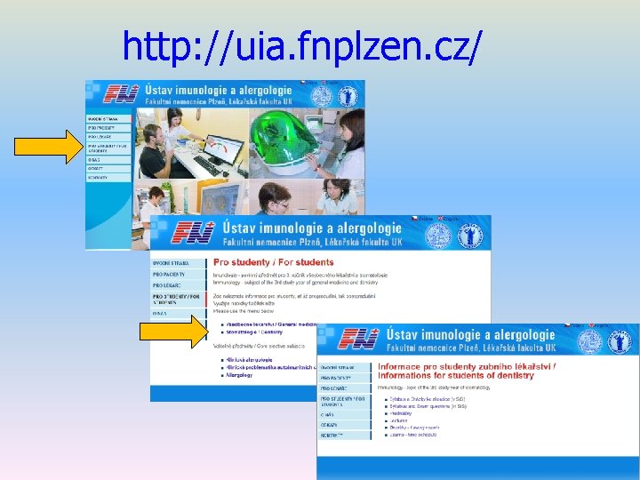 http: //uia. fnplzen. cz/ 