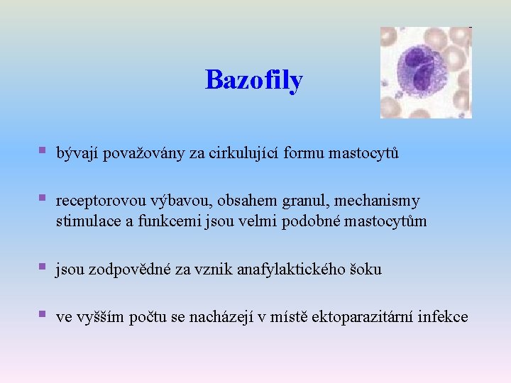 Bazofily § bývají považovány za cirkulující formu mastocytů § receptorovou výbavou, obsahem granul, mechanismy