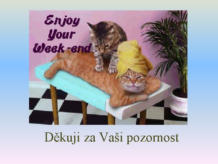 Děkuji za Vaši pozornost 