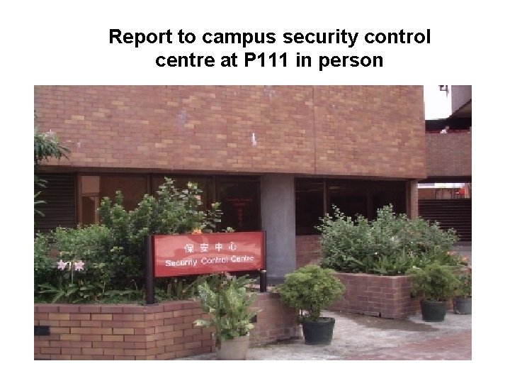 Report to campus security control centre at P 111 in person 