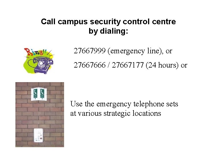 Call campus security control centre by dialing: 27667999 (emergency line), or 27667666 / 27667177