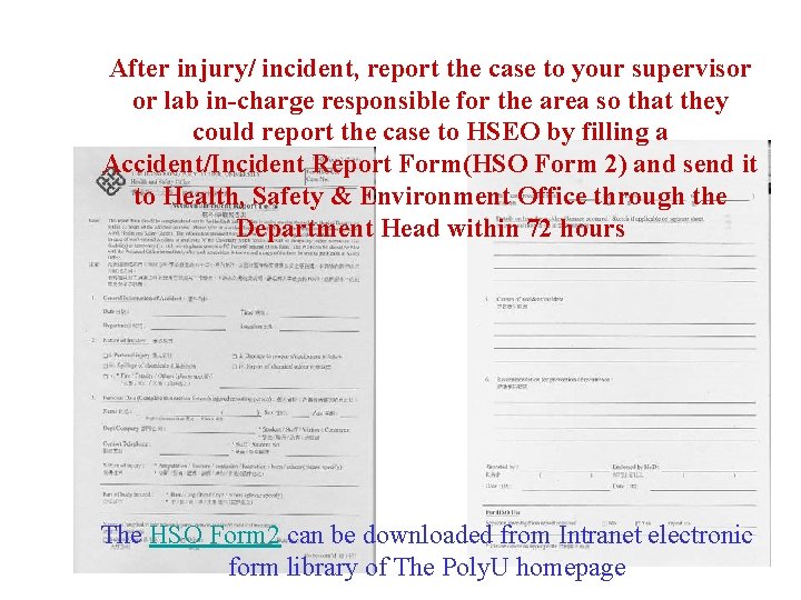 After injury/ incident, report the case to your supervisor or lab in-charge responsible for