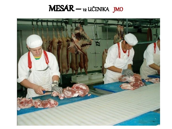 MESAR – 12 UČENIKA JMO 