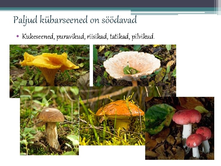 Paljud kübarseened on söödavad • Kukeseened, puravikud, riisikad, tatikad, pilvikud. 