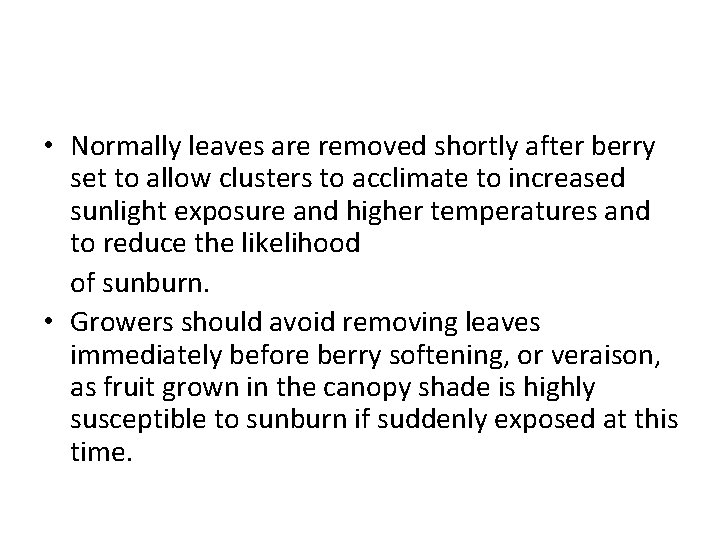  • Normally leaves are removed shortly after berry set to allow clusters to