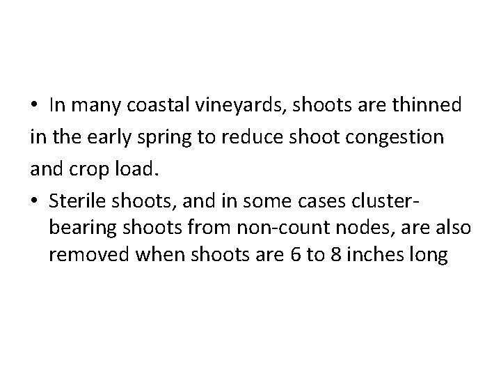  • In many coastal vineyards, shoots are thinned in the early spring to