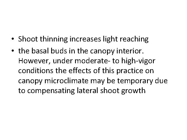  • Shoot thinning increases light reaching • the basal buds in the canopy