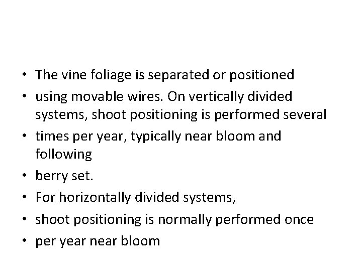  • The vine foliage is separated or positioned • using movable wires. On