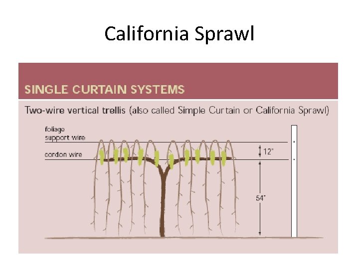 California Sprawl 