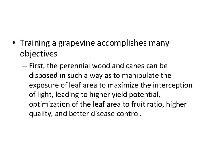  • Training a grapevine accomplishes many objectives – First, the perennial wood and