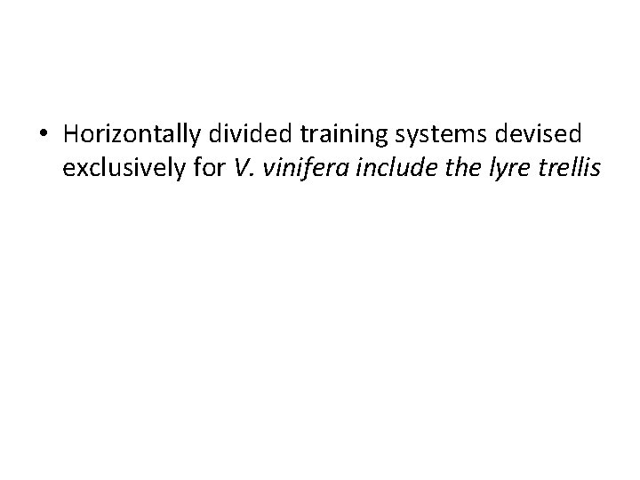  • Horizontally divided training systems devised exclusively for V. vinifera include the lyre