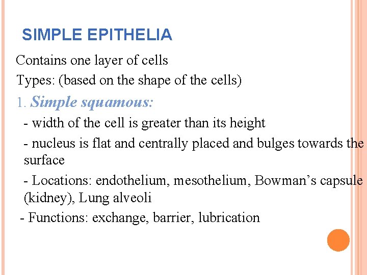 SIMPLE EPITHELIA Contains one layer of cells Types: (based on the shape of the