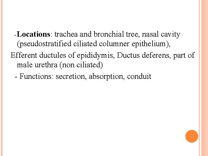 -Locations: trachea and bronchial tree, nasal cavity (pseudostratified ciliated columner epithelium), Efferent ductules of